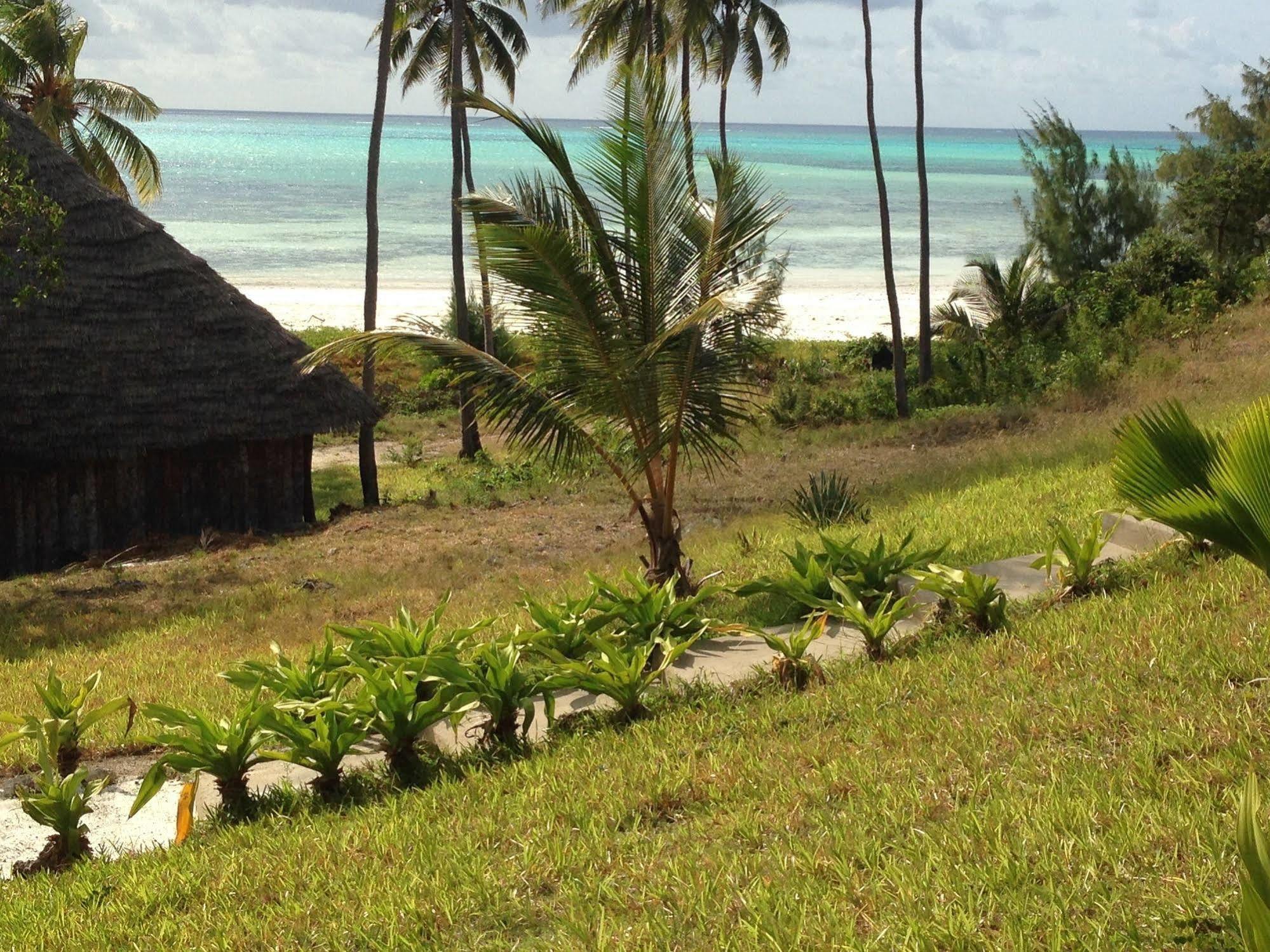 The Cove Hotel Paje Buitenkant foto